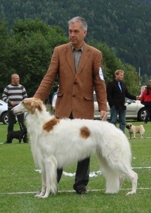Ch Kazar Rurik