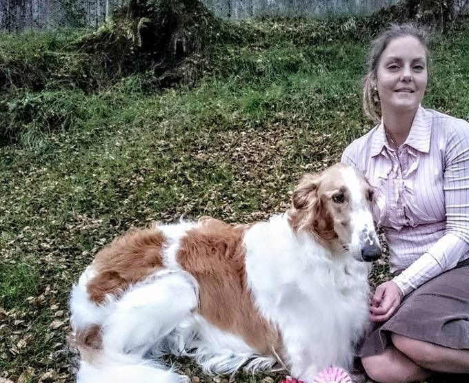 24.09.16
Kazar Wafai BOB at BSBK national show in Bergen.

Kazar Wahid Best male-2 and BOS junior at Borzoi-Ringen unofficial show in Sweden under Christina Sjøqvist Persson. 46 entries. 