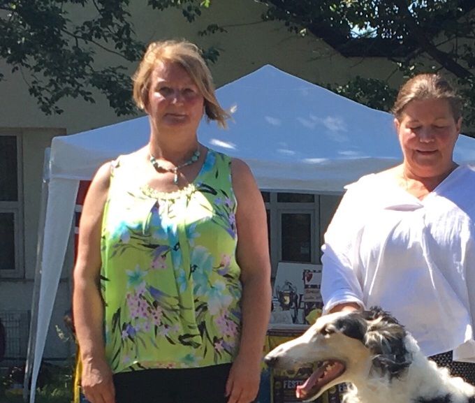 03.06.18 CIB* Multi CH Kazar Wahid goes BOS at The Borzoi Committy Special in Horten, Norway under judge Wieslalwa Misterka Kluska.
27.05.18 Wahid went BOS Nordic CAC at SKK (Sweden) under Svante Frisk.
Owner: Lena Hamel.