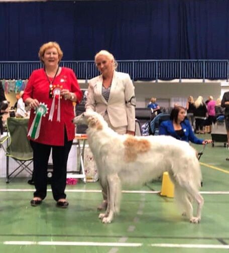 11-12.08.2018
CH Kazar Volga; BOB Saturday under Helena Borisova and BOS Sunday under Zorica Salijeva