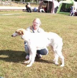 18-19.08.2018
Kazar Yanitzar went Best of Breed puppy both days in Tampere, Finland under judges Eeva Resko and Helin Tenson
Owner: Tiina Flytstrøm, F.