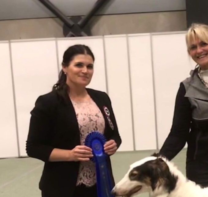 16,18-11.2018
Kazar Yakim, owned by Asta Slapø, was BOB both days in Lillestrøm, at The Nordic Winner Show and The Norwegian Winner Show. He even went second in Group on Sunday.