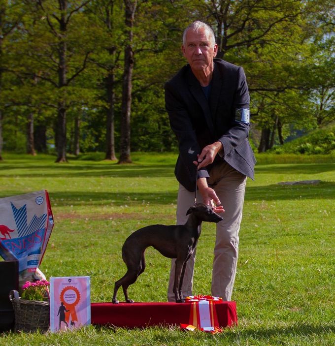 01.06.2019
The Italian Greyhound Special, Horten.
Kazar Aurelia made her show debut by going 
BEST IN SHOW JUNIOR and BOS under judge Säde Hohteri.