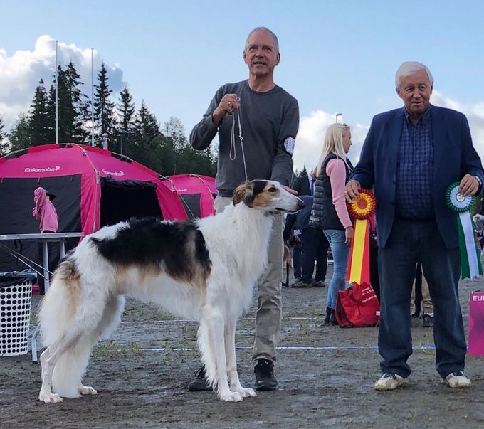 18.08.2019, 
NKC CACIB Show Lillehammer 
Borzoi: BOB, CAC, CACIB; Kazar Yaztrakan (from Intermediate)
Owners: Kat Gade/Mads Waatland Jakobsen
Italian Greyhound: CAC, BB-2; Kazar Aurelia (from Intermediate)
Owner: Kazar.