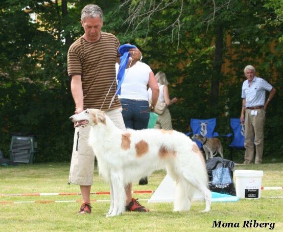 BIS, Int, Nordic CH, N.W.02 Kazar Olympia