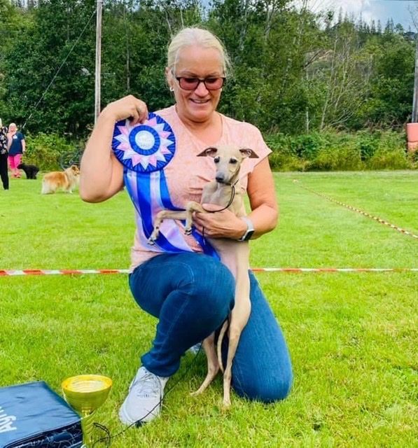 14-15.08.2021, Helgeland Dog Festival
Kazar Dominica was BOB and BOG puppy on Saturday under Gunnar Nymann and BOB and BOG-2 Sunday under Svein Helgesen
Owner: Merete Larsen Kahveci.