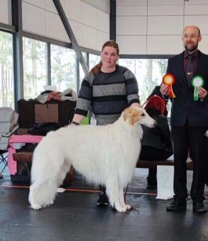 9.April 2022
Today in Estonia, Show for FCI groups 5 and 10: 
Fin, Lt Ch Kazar Zwarovski Tarijemiran BOB with CAC, New Estonian Champion, Group-1 and BEST IN SHOW-2
Owners: Anniina Liesko and Tiina Flytstrøm, Finland.
