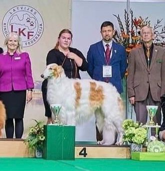13.Nov2022
Multi Ch. Kazar Zwarovski entered Baltic Winner Show on Sunday. He went Best of Breed and Baltic W-22,  Best in Group and Best in Show-4! 
Judges were Perttu Ståhlberg and Eva Liljekvist-Borg.



